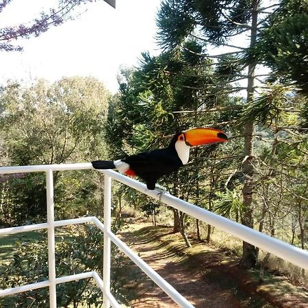 Abrigo Da Reserva Hotel Santo Antônio do Pinhal Eksteriør billede